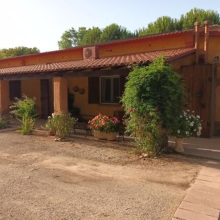 Agriturismo La Barca In Secca Olmedo Kültér fotó