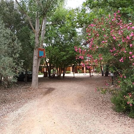 Agriturismo La Barca In Secca Olmedo Kültér fotó