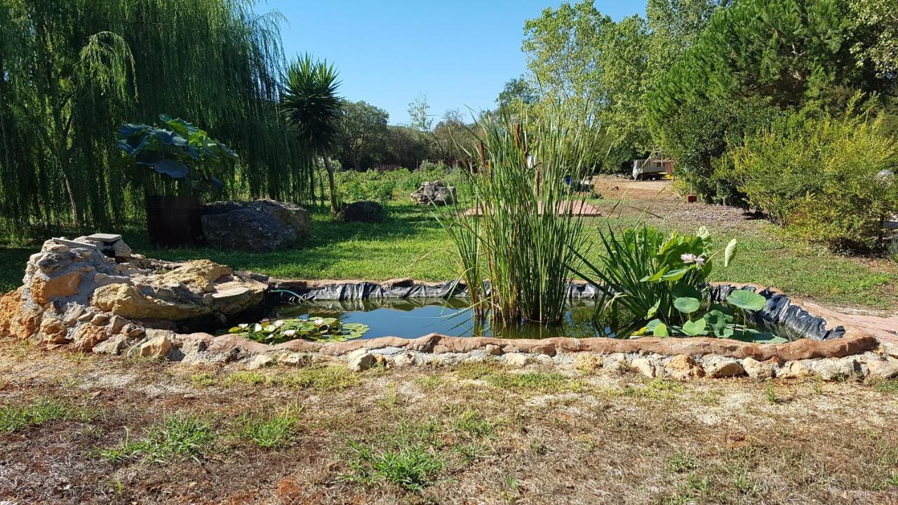 Agriturismo La Barca In Secca Olmedo Kültér fotó