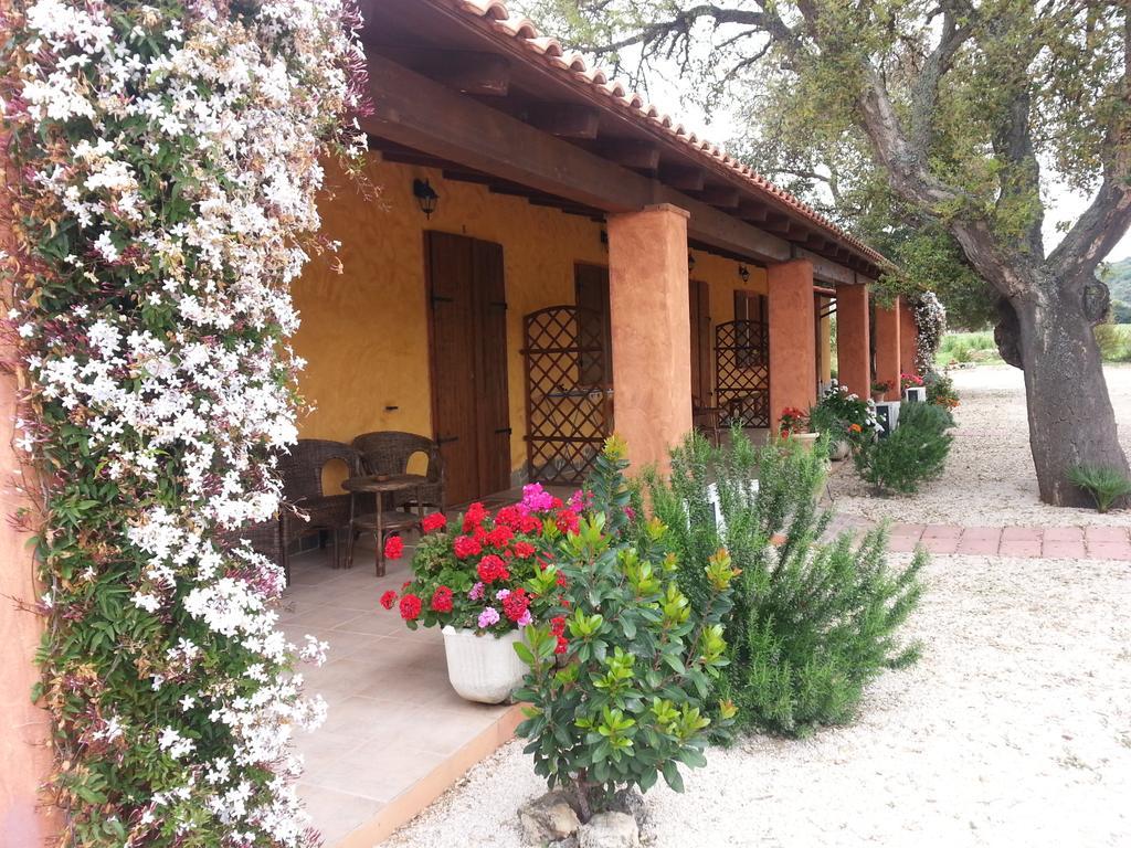 Agriturismo La Barca In Secca Olmedo Kültér fotó