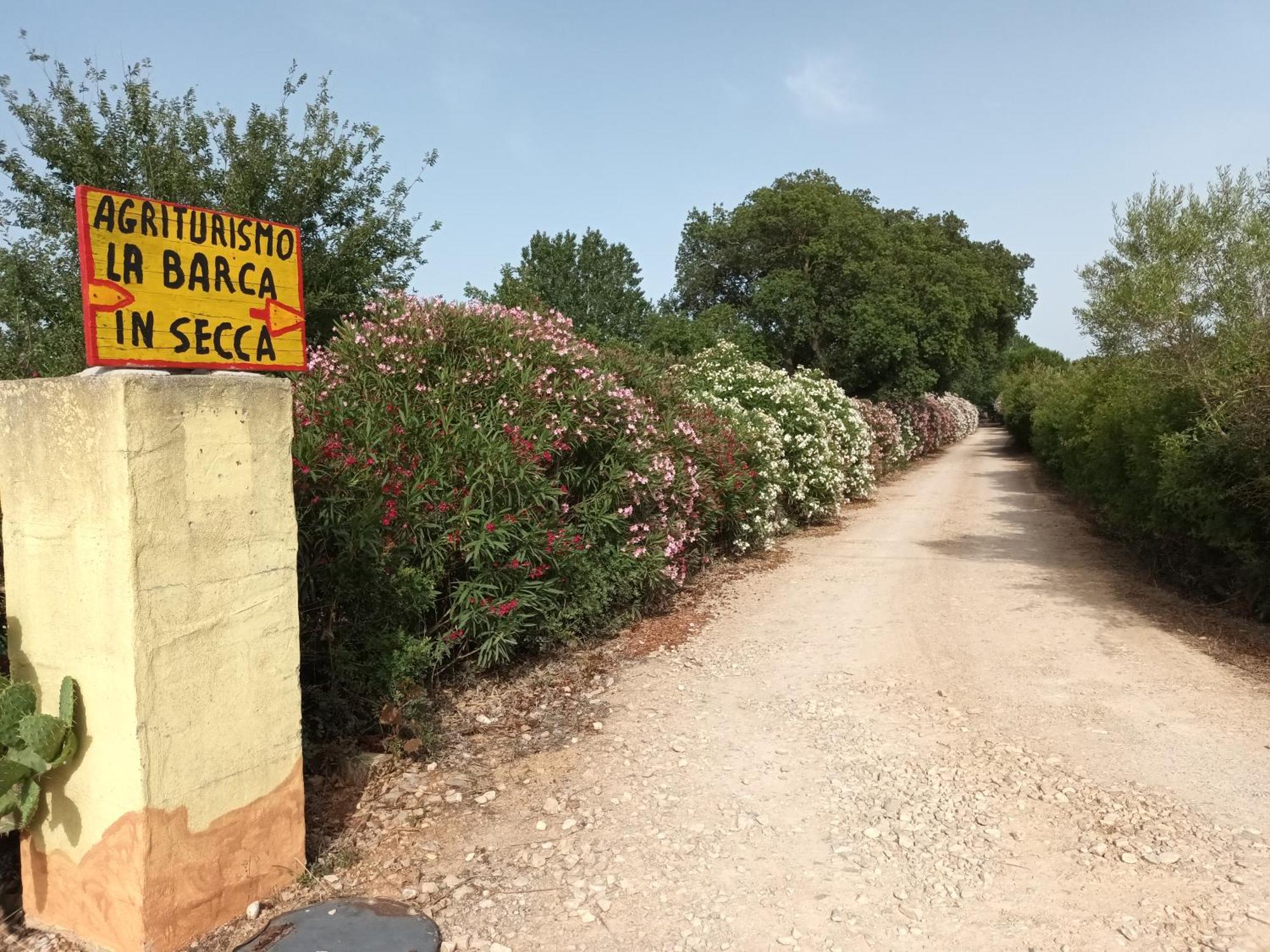 Agriturismo La Barca In Secca Olmedo Kültér fotó